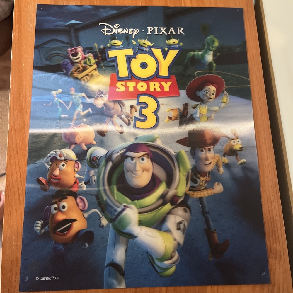Disney Store Pixar Toy Story 3 Lithograph Plastic 3-D Movie Poster Promo 2010